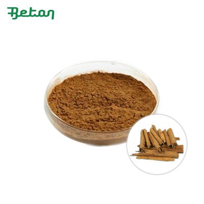 유기농 실론 계피 분말